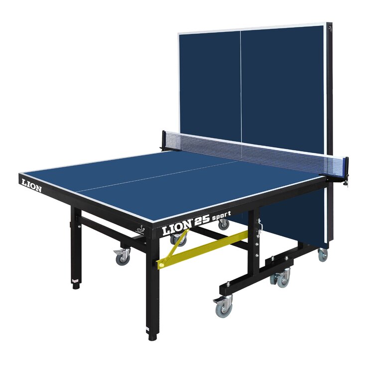 International ping store pong table